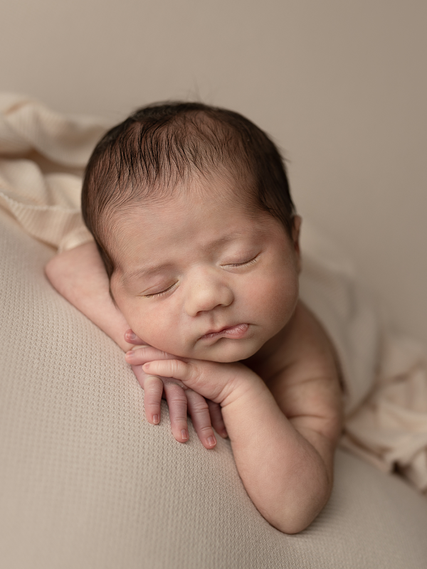 Sleeping newborn baby posed on a soft cream backdrop during a studio newborn photography session in Elgin, Illinois.