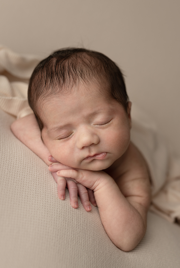 Sleeping newborn baby posed on a soft cream backdrop during a studio newborn photography session in Elgin, Illinois.